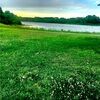 ashleyglover459
